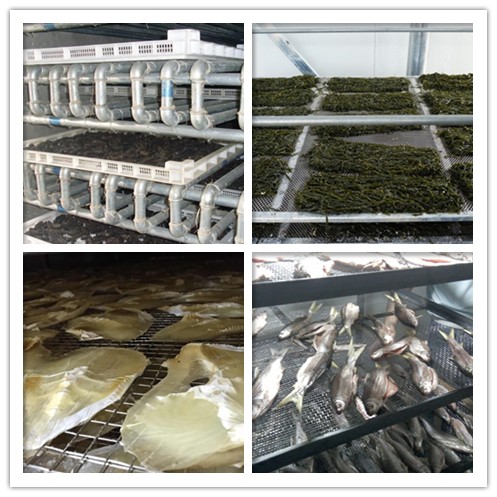 海產品烘干除濕機