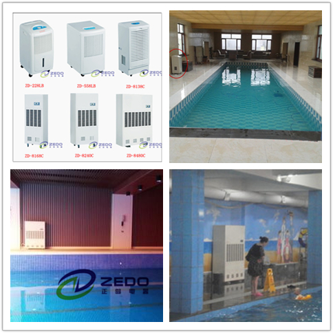 室內泳池除濕機