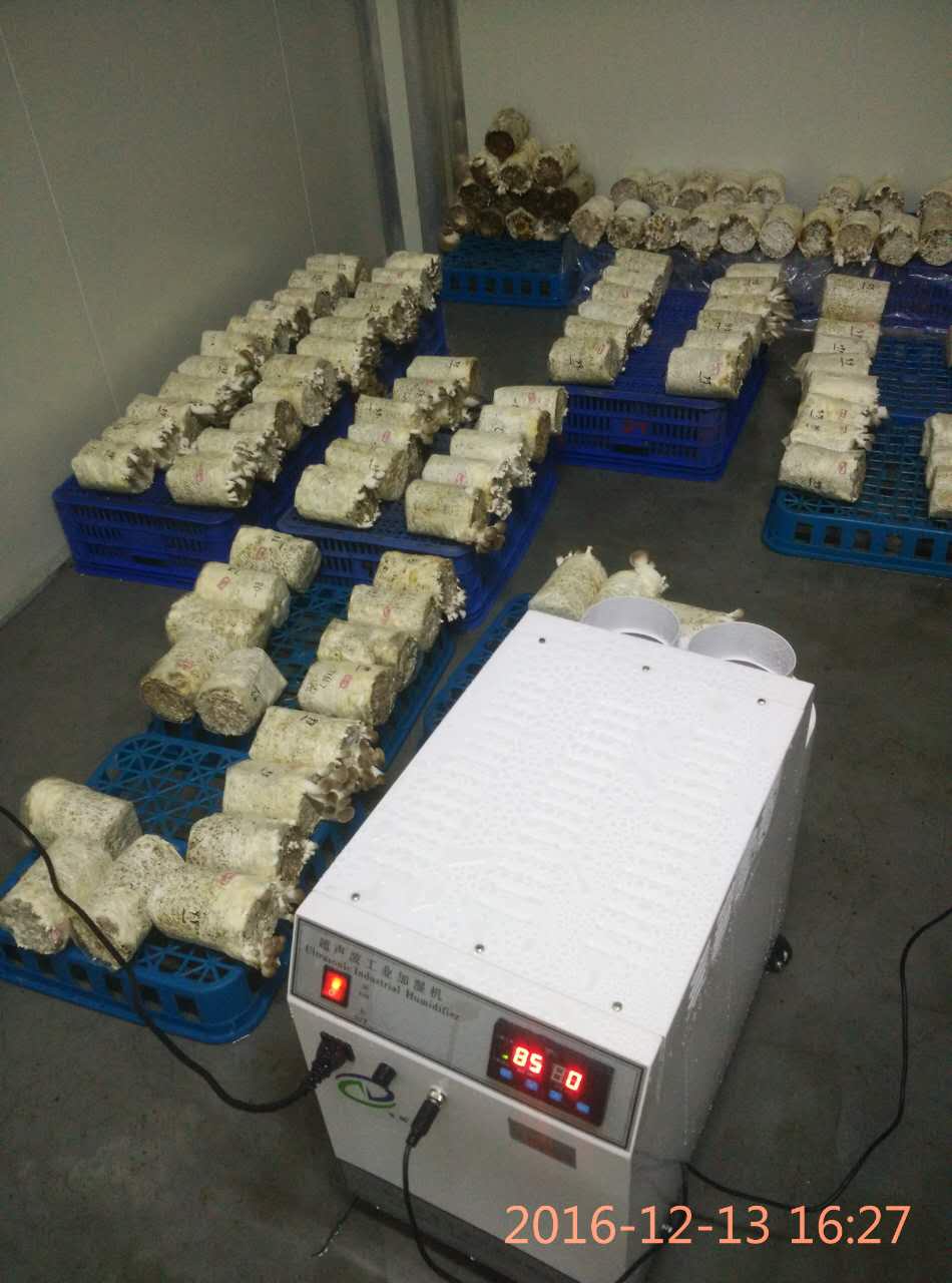 食用菌菇房用加濕機