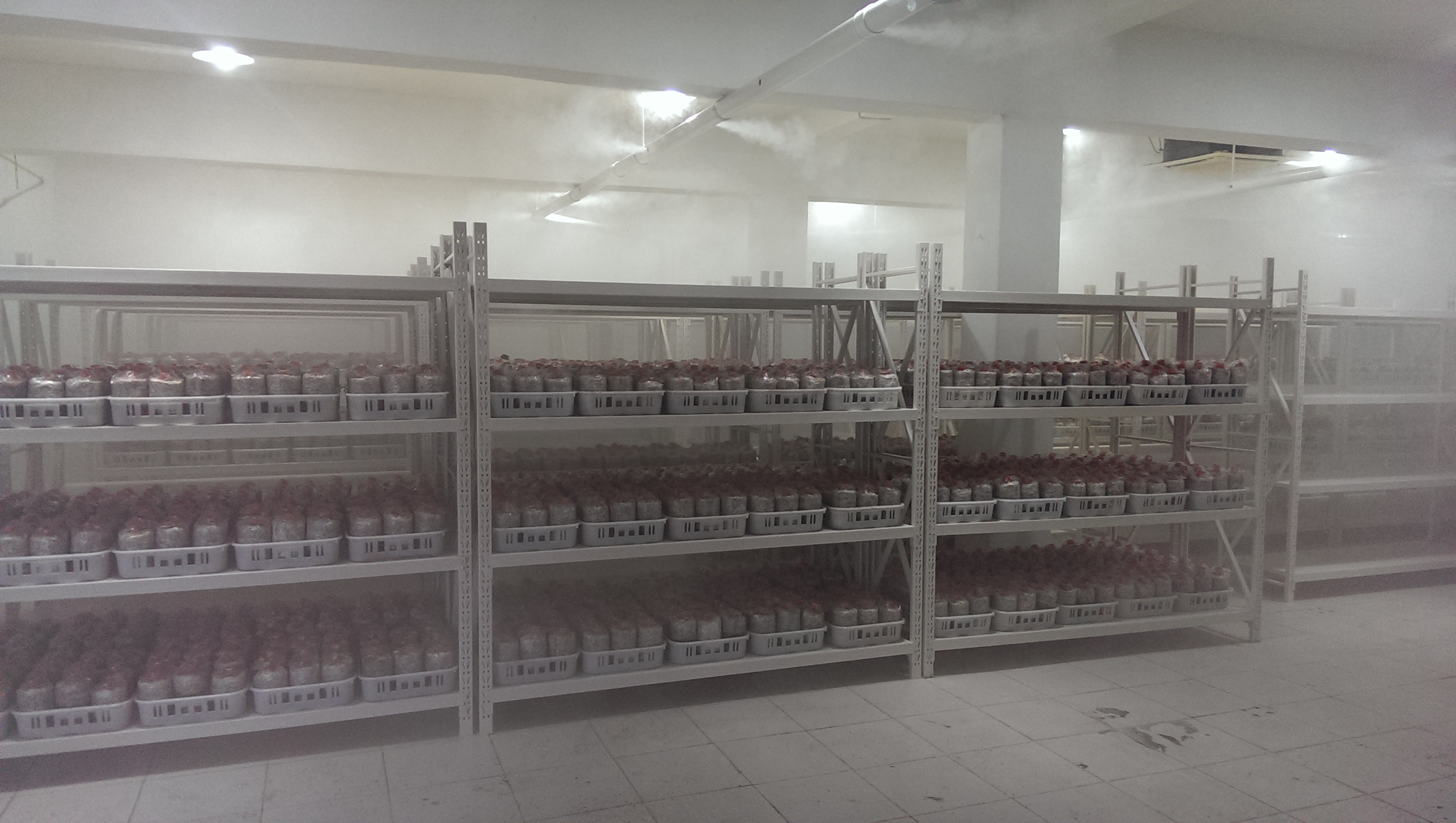 食用菌菇房用加濕機