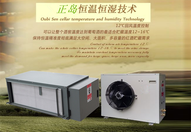 酒窖恒溫恒濕空調