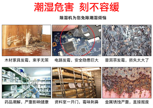 室內(nèi)防潮用除濕機(jī)