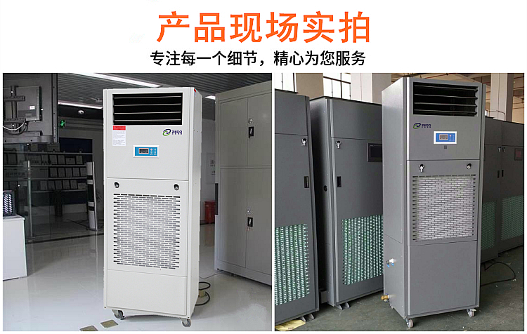 電子廠恒濕機(jī)