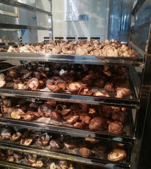 烘干房除濕機(jī)