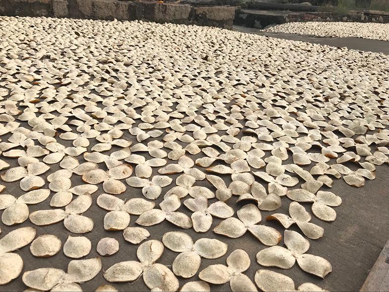 陳皮烘干除濕機