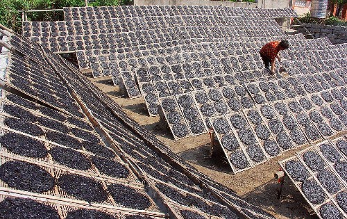 紫菜烘干除濕機