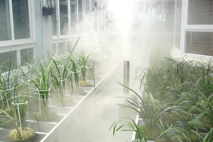 催芽室加濕機