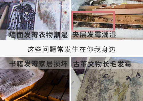 室內防潮除濕機