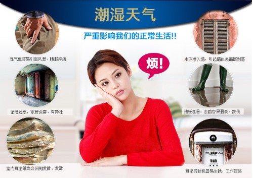 預(yù)防潮濕用除濕機(jī)