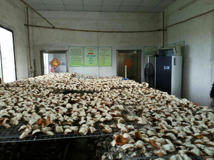 中藥材烘干除濕機