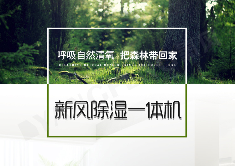 中央除濕機(jī)