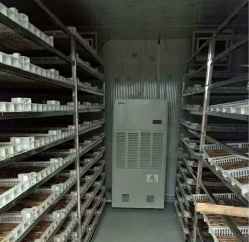 蝦仁蝦米蝦皮烘干機(jī)