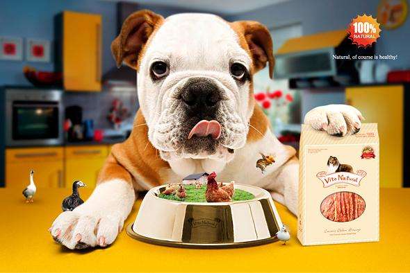 寵物食品烘干機(jī)