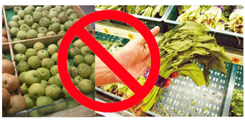 蔬菜噴霧加濕機(jī)