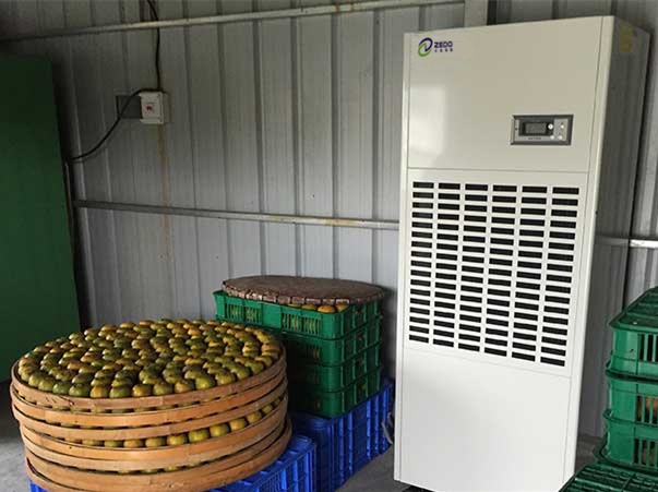 柿餅烘干除濕機