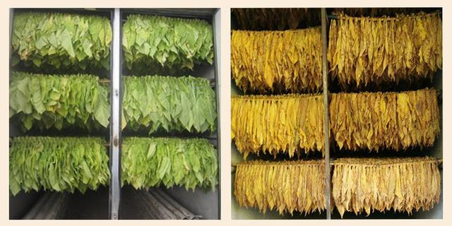 煙葉烘干機(jī)