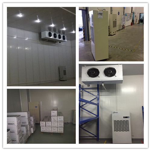 低溫工業(yè)除濕機