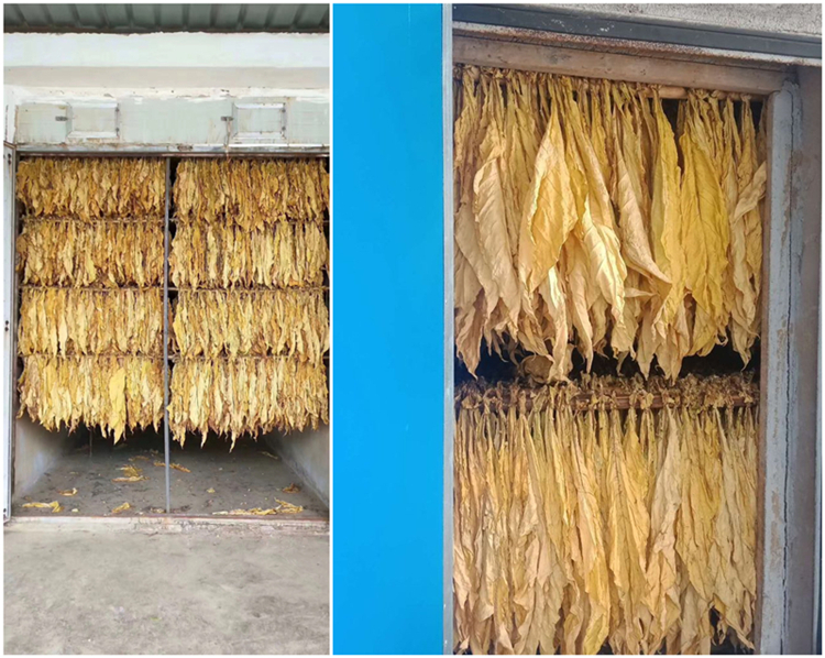 烤煙房如何快速回潮？