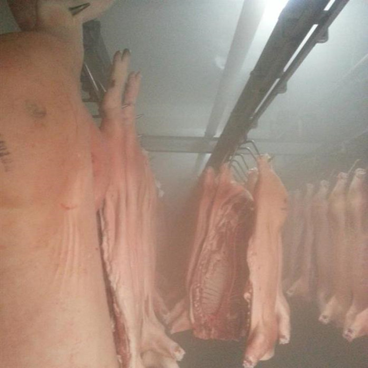 排酸庫噴霧加濕機