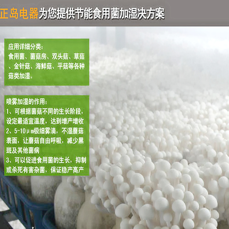 食用菌大棚加濕系統