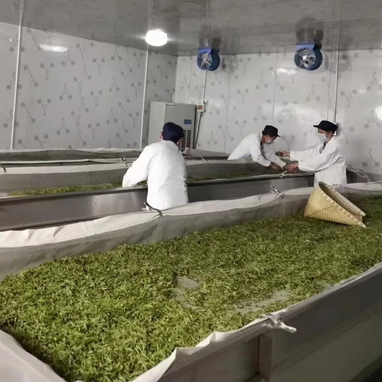 茶葉萎凋室除濕機