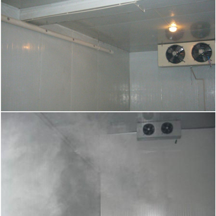 蔬菜冷庫保鮮加濕機